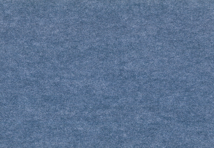 Bluebonnet - P139